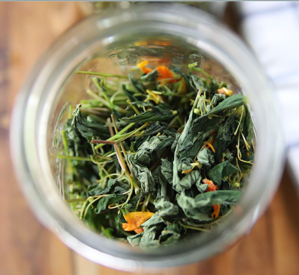 Jewelweed Natural Posion Ivy Remedy