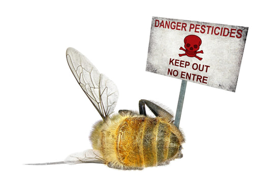 The Effects of Herbicides on Bees and Pollinators: The Dangers of Wide-Spread Use